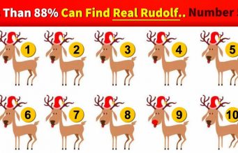 Find The Odd One Out In 10 Seconds!ㅡ88% Failed.