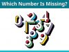 Which Number Is Missing?