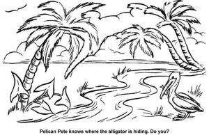 Where is The Alligator?