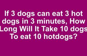 Fun riddle: How Long Will It Take 10 dogs To eat 10 hotdogs?