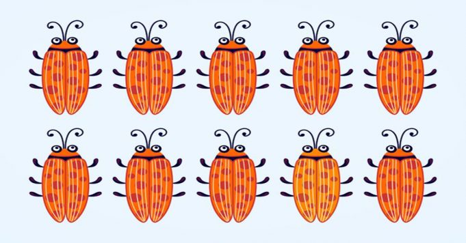 Tricky Challenge: You Have Only 60 Seconds To Find All The Odd One Out!