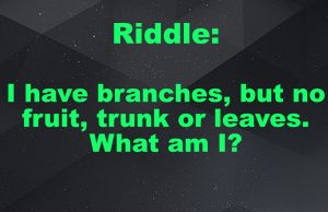 I have branches, but no fruit, trunk or leaves. What am I?