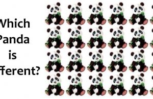 Which Panda is Different From All The Others?