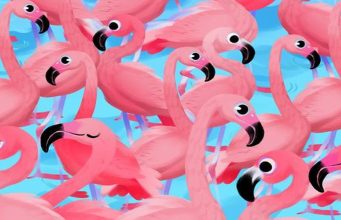 Can you find the FLOWER hiding among the flamingos?