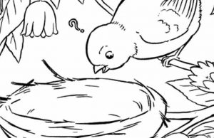 Three little birds are hiding from the mother.