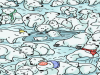 Find a hidden seal among these polar bear in this Visual Challenge Today