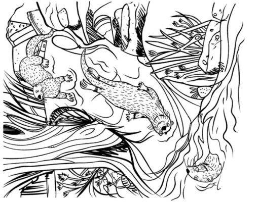 In the mud: Spot Strawberry, Balloon, and Acorn.