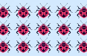 Tricky Challenge: You Have Only 40 Seconds To Find All The Odd One Out!