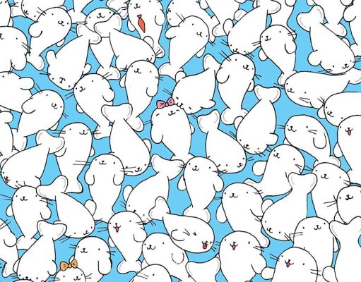 Can YOU find a marshmallow among the seals?