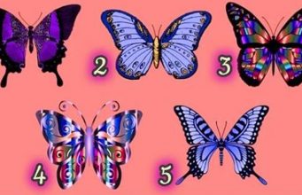 Pick One Of These Beautiful Butterflies To Reveal The Secrets Of Your Personality!