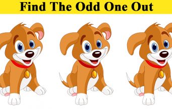 Tricky Challenge: You Have Only 10 Seconds To Find The Odd One Out!
