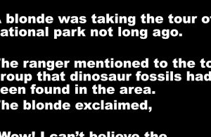 A blonde was taking the tour of a national park not long ago.