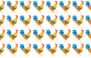 Can you find the odd chicken in less than 35 seconds?