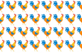 Can you find the odd chicken in less than 35 seconds?