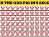 You Have An Extremely Sharp Brain If You Can Find The Odd Pig Out!