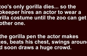 A zookeeper hires an actor to wear a gorilla costume