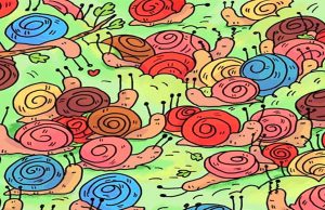 Can YOU spot the hidden rose among the snails?