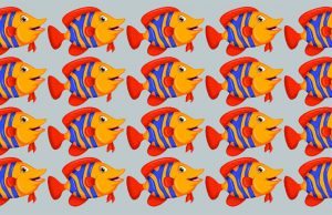 Most people fail: Can you spot two fish are different from the rest?
