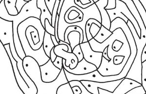 Reveal The Hidden Animal. Can You?