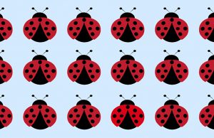 Tricky Challenge: You Have Only 25 Seconds To Find All The Odd One Out!