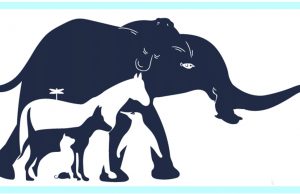 Attention Puzzle: How Many Animals Are Hiding In The Picture?