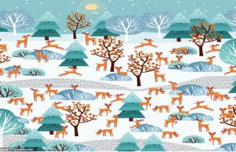can you spot the lone doe in this festive forest of reindeer?