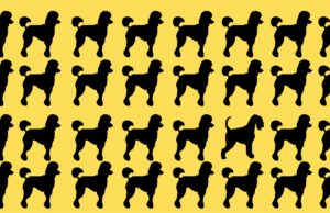 Workout eye Test : It Might Be A Challenge To Find The Odd Emoji.