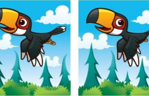 you have 90 seconds to find all 5 differences between the two pictures.