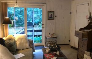 Most people can’t do it – but can you find the sneaky cat in this picture?