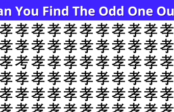 Amazing Test To Check Your Focusing Abilities!