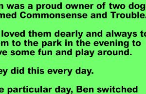 A Man Walking His Dogs