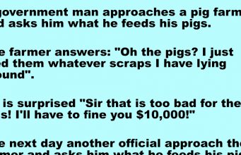 The Farmer and the Pig Food The Farmer and the Pig Food