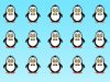 Most people get wrong: Can you spot the penguin is different from the rest?