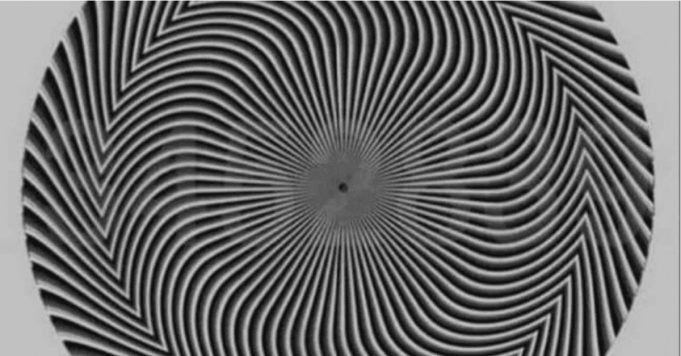 What Number Do You See in this black and white swirl?