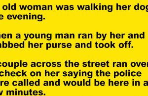 An old woman was walking her dog one evening