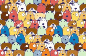 Can You Spot The Pig?