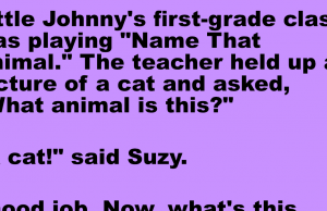 Teacher asked student to Name the Animal.