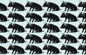Find Two Different Pigs in Less Than 20 Seconds