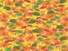 Find THE SUN among the leaves in this brain teaser!