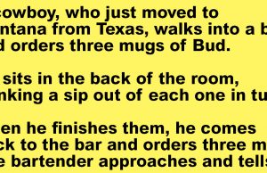 A Texas Cowboy Walks Into A Bar