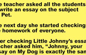 Teacher asked all the students to write an essay.