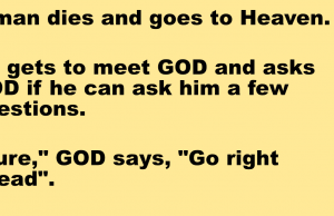 A man dies and goes to Heaven.