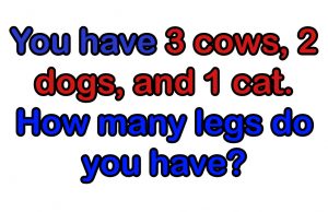 Can You Solve This Tricky Leg Riddle?