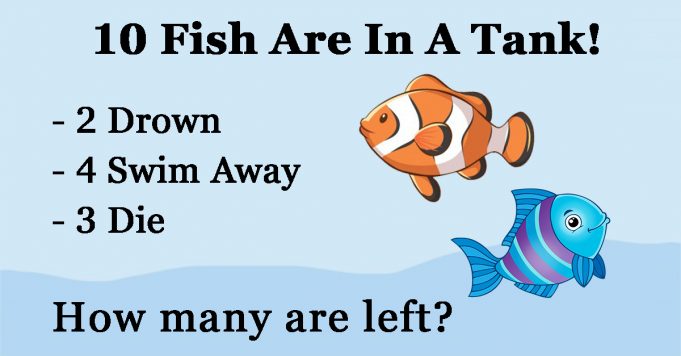 Can You Solve This Fish Math Riddle In Less Than 60 Seconds?