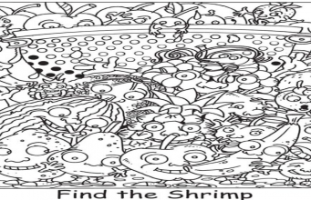 Find the Shrimp