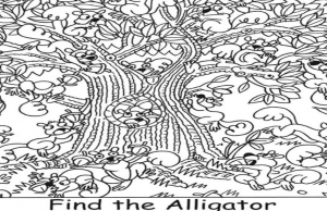 Spot the alligator!