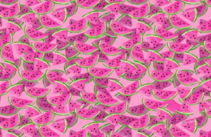 Can you find tutu hidden among watermelons?