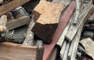 Most people fail – but can you find the cat in this picture?