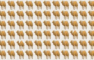 Is Your Vision Good Enough To Spot The Odd One In All 5 Pictures?