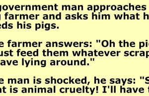 A government man approaches a pig farmer one day.